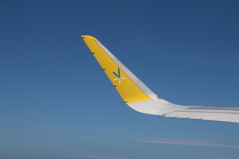 avnlwinglet