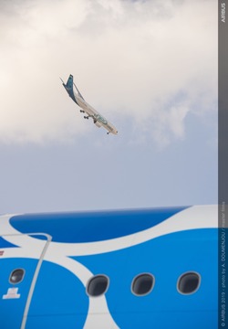 A330neo Airbus flying display at Dubai Airshow 2019